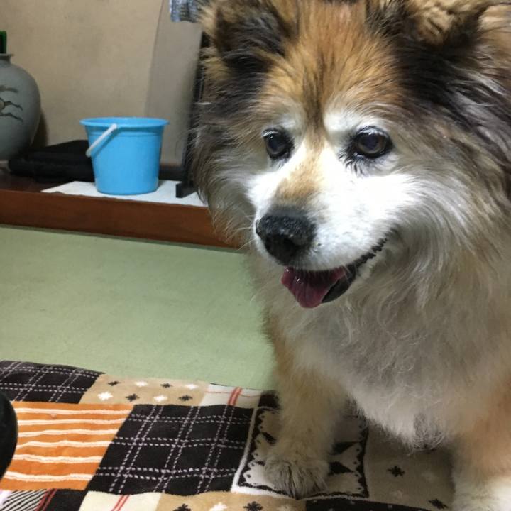 Bda4781c 6c79 4e47 add2 9a5829efd04f 1586436113981