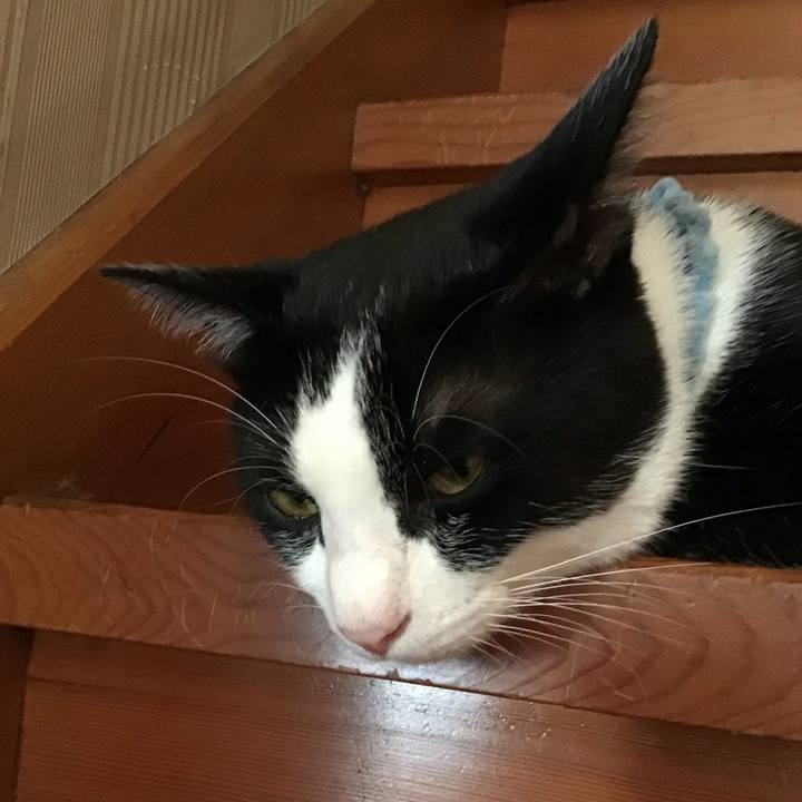 Bda4839d 17dd 429a 9767 1df4932022e1 1660820531455