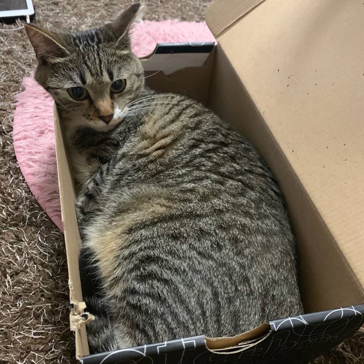 Bda4bc2a 7b67 4c9e b56a dc6cb78cc216 1561042938218