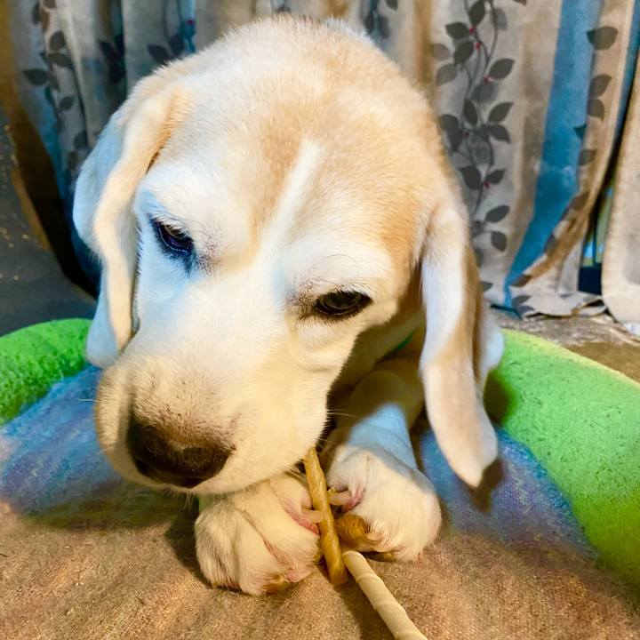 Bda4c334 74dc 452f 9d1c 55705ea41665 1657456292511