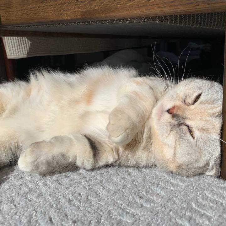 Bda4c6c2 2901 476f 82b9 6a40f59316ca 1709426029203