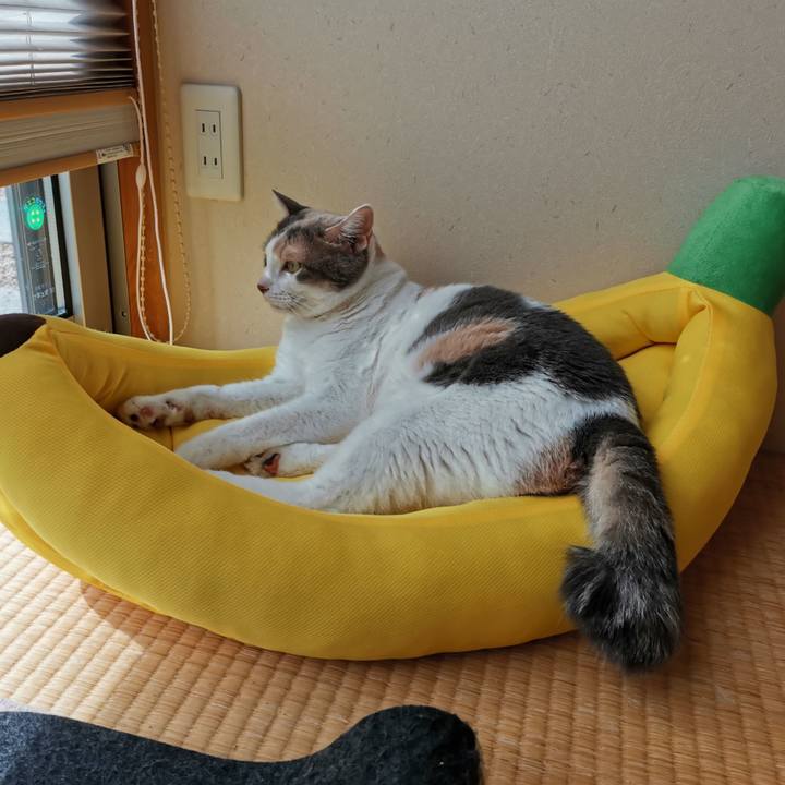 Bda4fb3c 1f61 4fc2 98c6 28291f1303ad 1658374115880