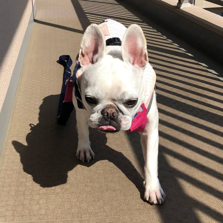 Bda53b0d e4d4 4598 a35b 2147dac70e8b 1582947019531