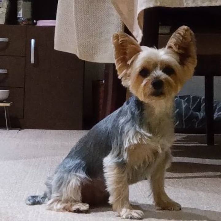 Bda57659 b1bf 418b b010 0e0ebf793c18 1728214065912