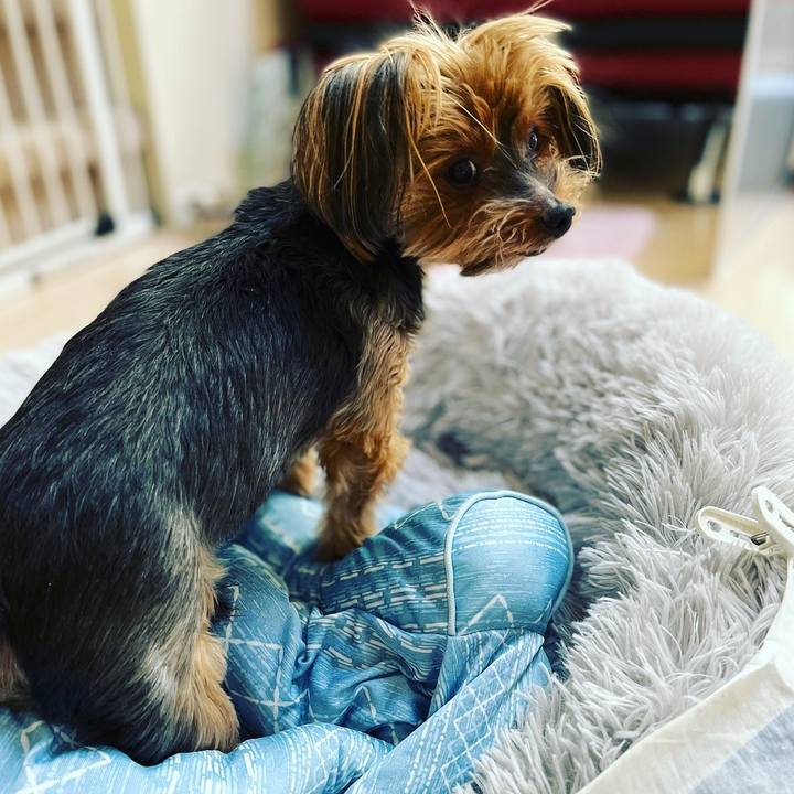 Bda5a040 4b48 4a57 89e8 bcfb9d439a9b 1659316650417