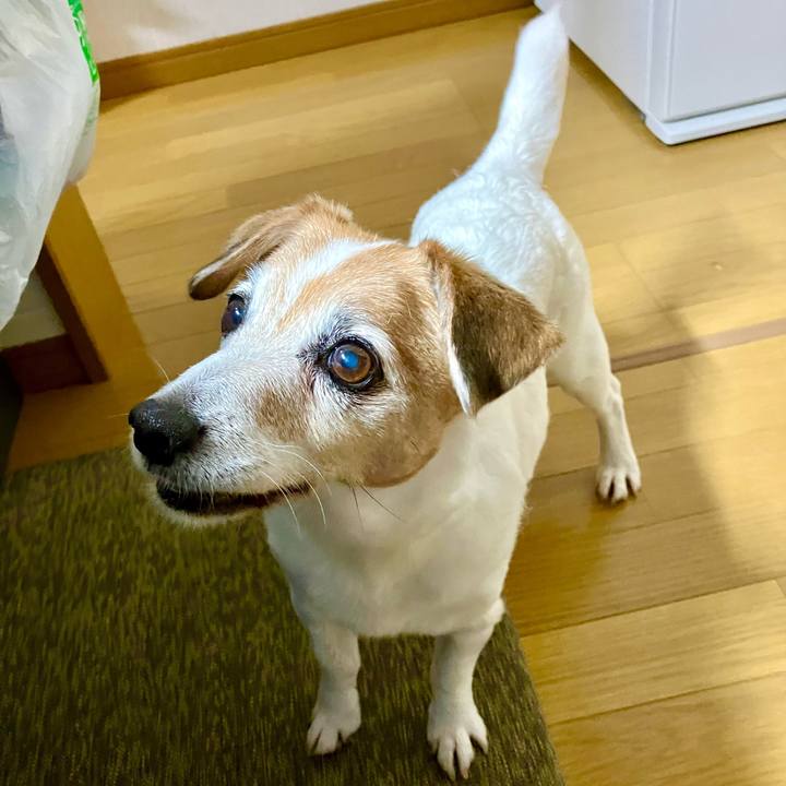 Bda6216c a0df 4f3c 9cad 5db9d5ac7f28 1719496921893