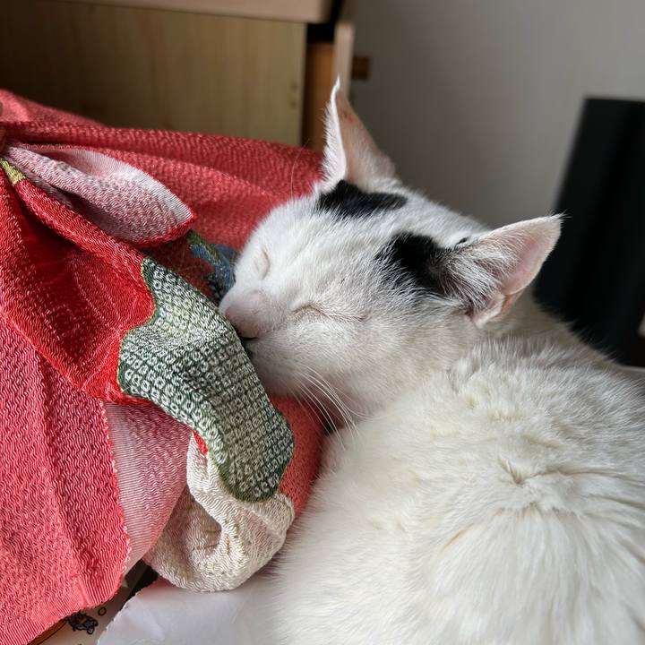 Bda632f6 b679 431d bcac c5e74c131c25 1715599733144