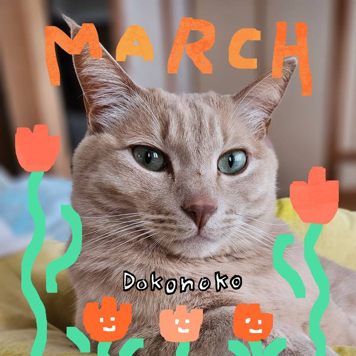 Bda650e3 1625 492a 9c41 382f1b5bb01e 1741491506522