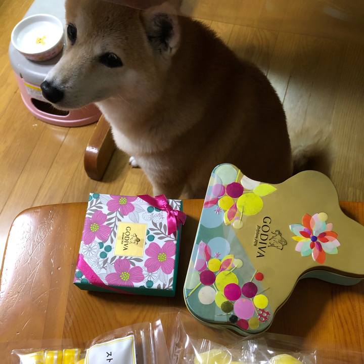 Bda658bb 7b96 4a46 a1e0 d93536b783a7 1597102458965