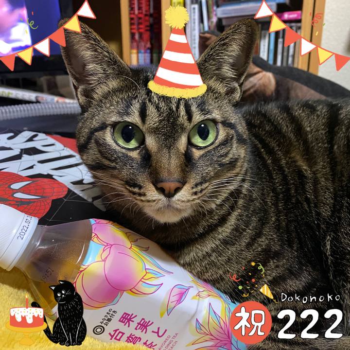 Bda66eb3 8de4 4cd3 93db f80266c19336 1645503621991