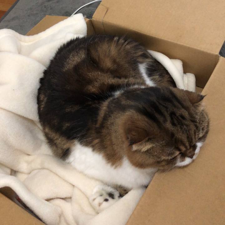 Bda69457 e7c6 40b1 8aa7 4655d5c249dd 1540950378744