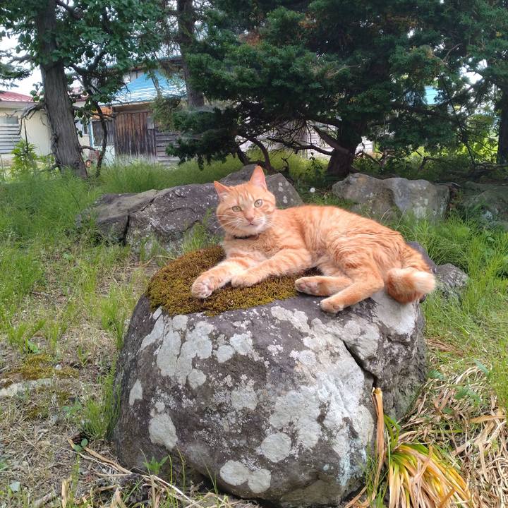 Bda69f00 d4cb 4d37 b6d4 013369b19c92 1718704971360