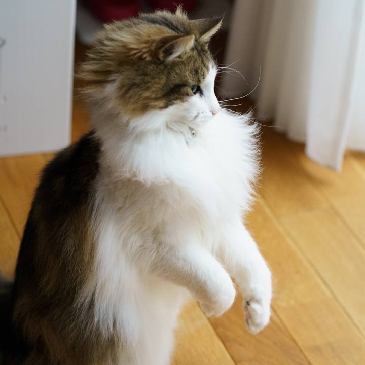 Bda6cf0a 0d0c 4513 a290 e8fbbb99ad8b 1648951551036