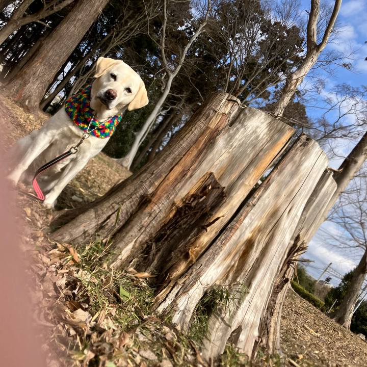 Bda6f332 40dc 4283 985e eb2e1c0ec80a 1675480166901