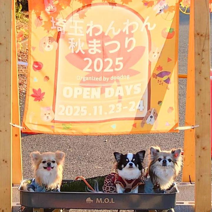 Bda6fd5d 62d8 412f 8202 1e5b7c12d6f3 1764309947763