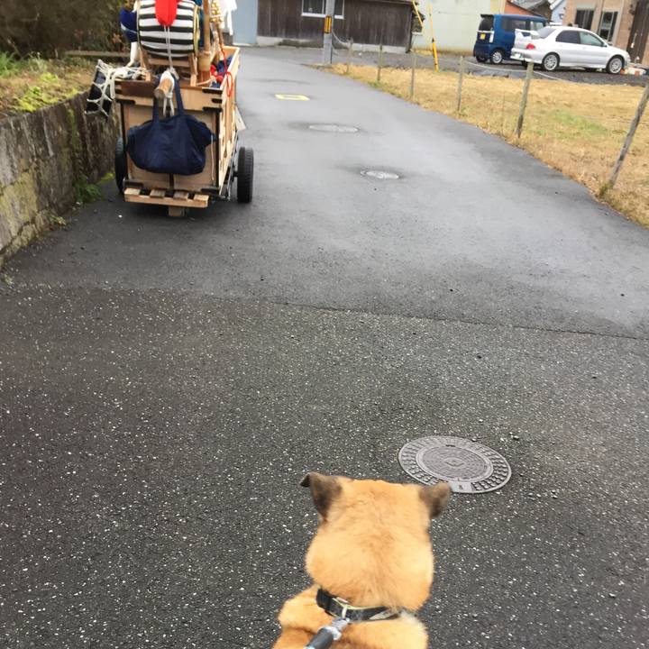 Bda7240a 2422 46f8 9c7f e48c2cb6b9a1 1515136406758