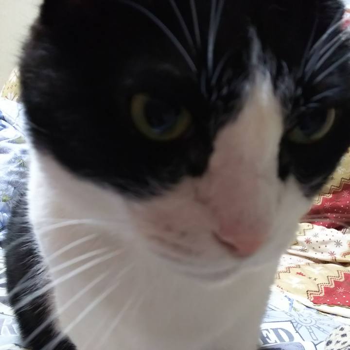 Bda734a0 b9b1 4882 9187 33abf8b4249d 1575928409339