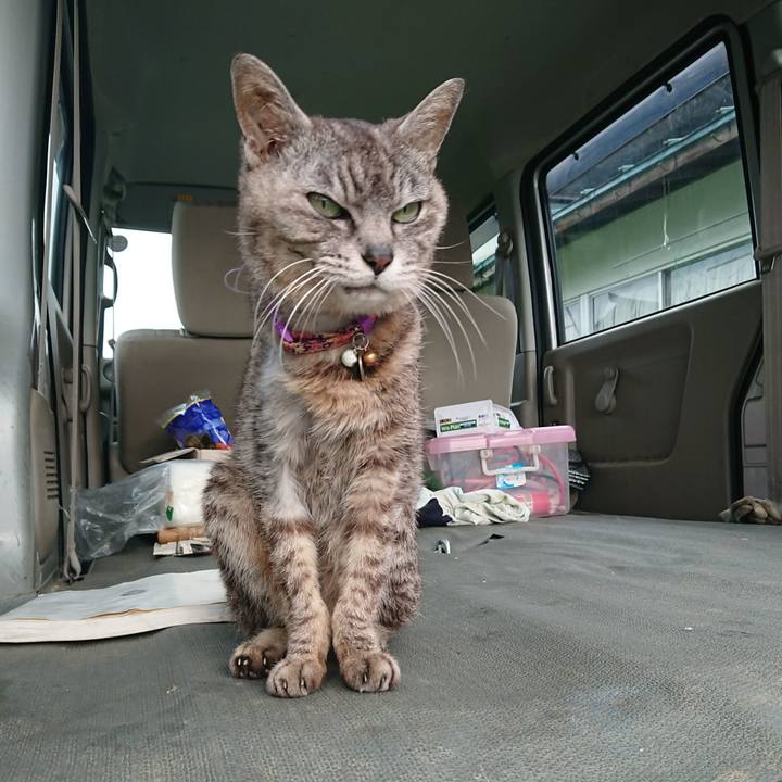 Bda73712 3411 4044 9b92 b683731e0c46 1594241562356