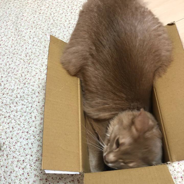 Bda78a87 54bb 4ccc 9d3f 1cf22f7fa6c9 1582423696716