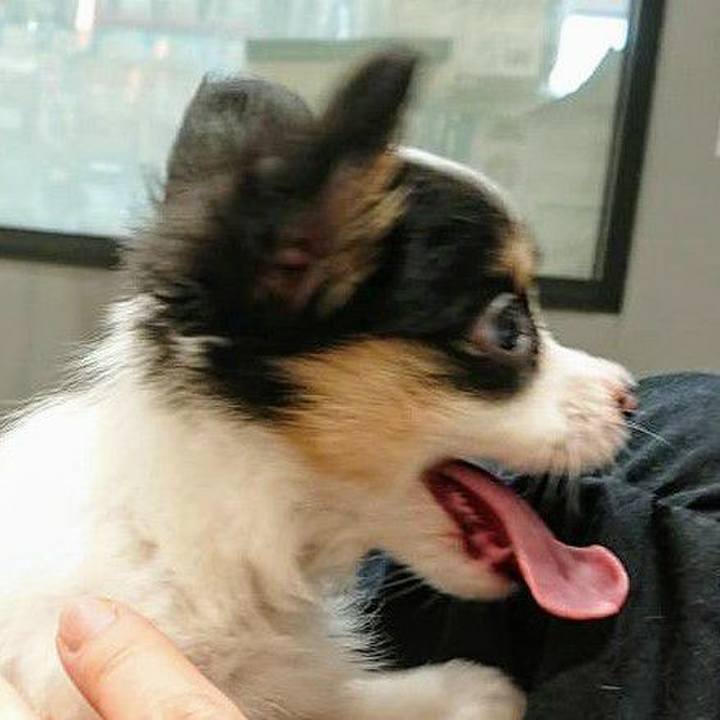 Bda79463 cdec 4aaa 87f4 f33bbf33cb79 1593874175621