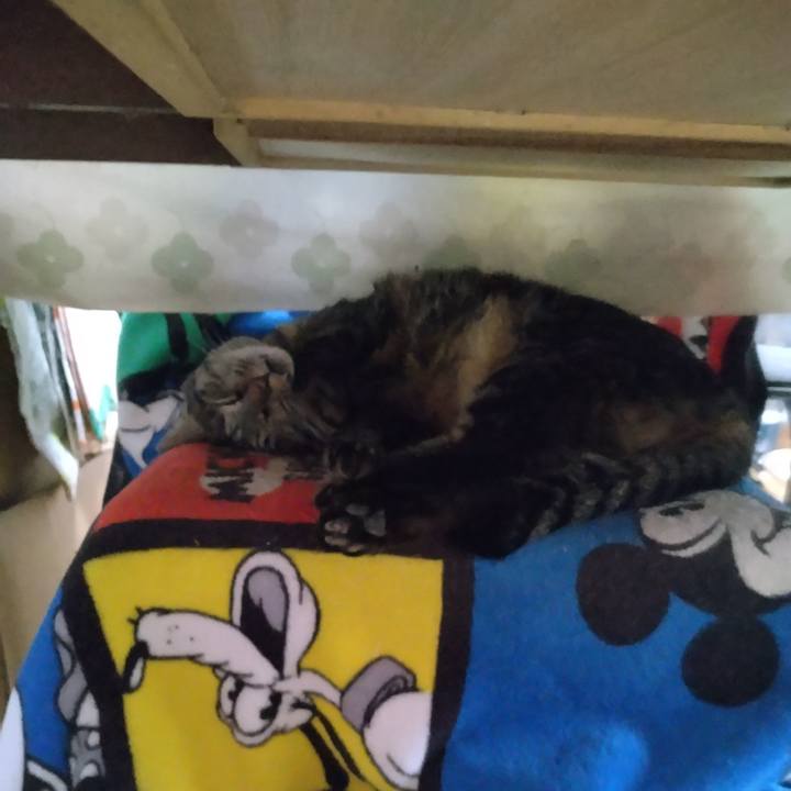 Bda79b43 d3a8 4e8a 9631 679959cc5bb8 1667542443564