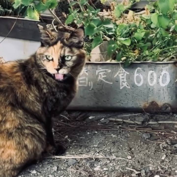 Bda7a251 196d 41ac a10b b9cec78cc896 1733369847802