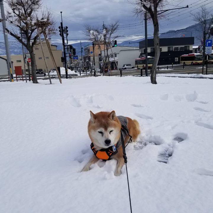 Bda7cd56 c103 422b b631 36fd2afebf4d 1734756717123