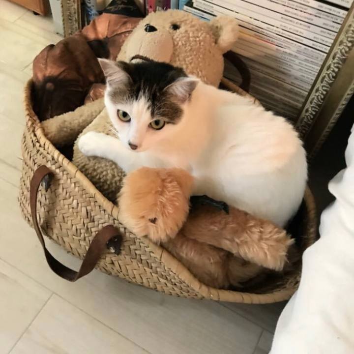 Bda7edf7 bf3f 490c 803d 4f142f00491a 1552971034226