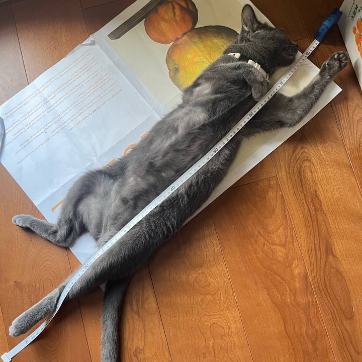 Bda81679 5fb8 4908 b492 a3ab4768101a 1722498558376