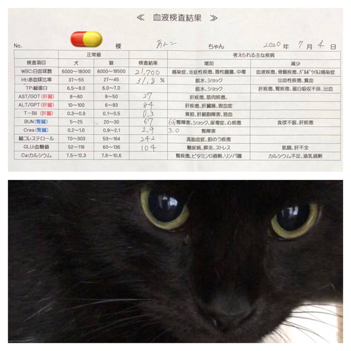 Bda81ed6 7c84 48ca a8d1 8390c4bb0d33 1593856518158