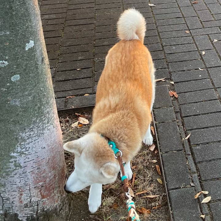 Bda84ccb 964a 4227 82fb d4ae8958f49e 1635722481082