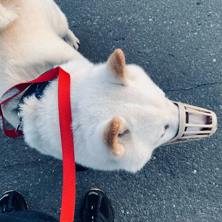 Bda89aaa bea7 417f 91cf fcceb79afabc 1630792403783