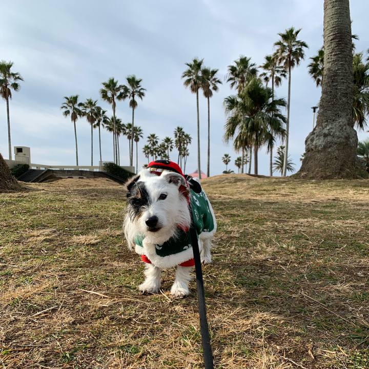 Bda8b7b8 8ab0 48e2 a9ea 1c586f836498 1704242886399