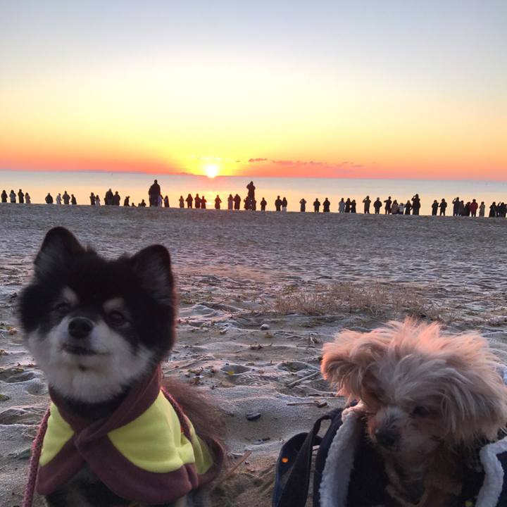 Bda8d27d c1c9 4498 a7d0 89019d28a496 1546307305579