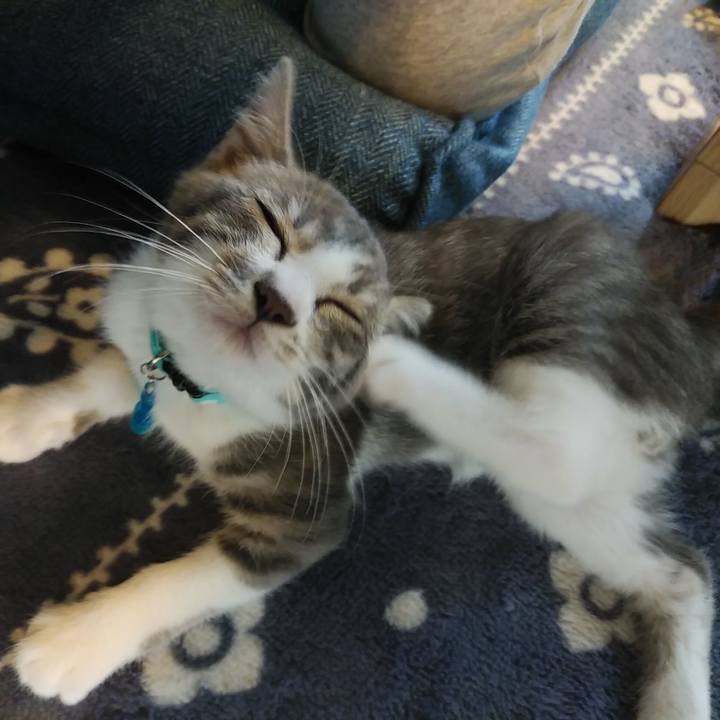 Bda8ebe8 9a6c 4449 9c59 f1582397d121 1563247881773