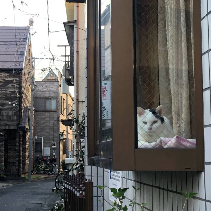 Bda90617 e8ff 4a5d 9414 bd44d002453c 1606145790768