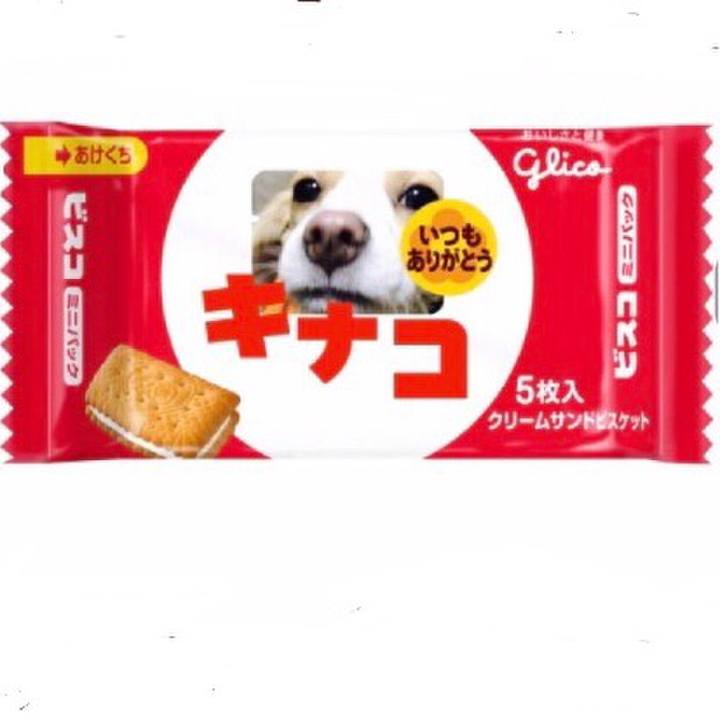 Bda92da7 759c 4169 a177 dda45b7edd34 1540968106338