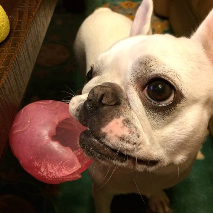 Bda956c6 2caf 4627 bb7b 188be87ade25 1532867549969