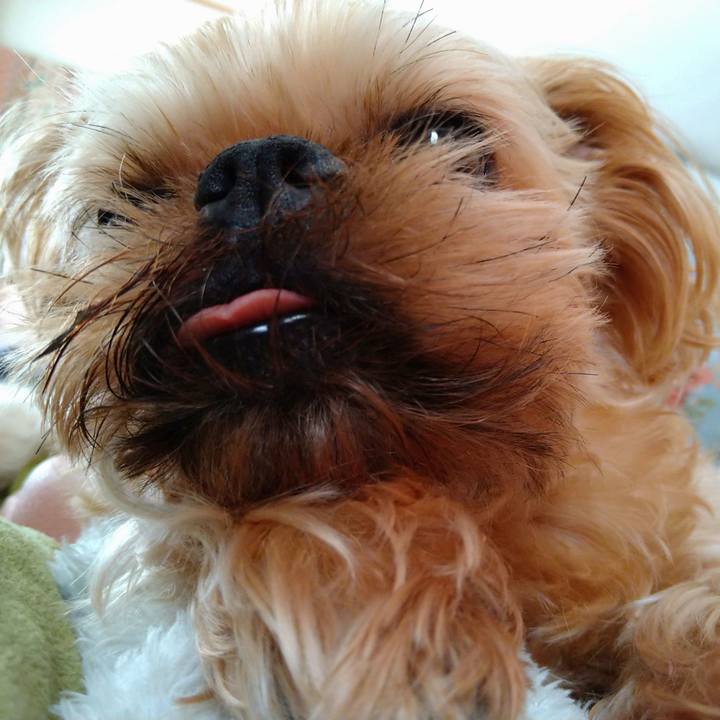 Bda9658e 9fb4 41ae 9397 41fd96bac4d4 1615966284674