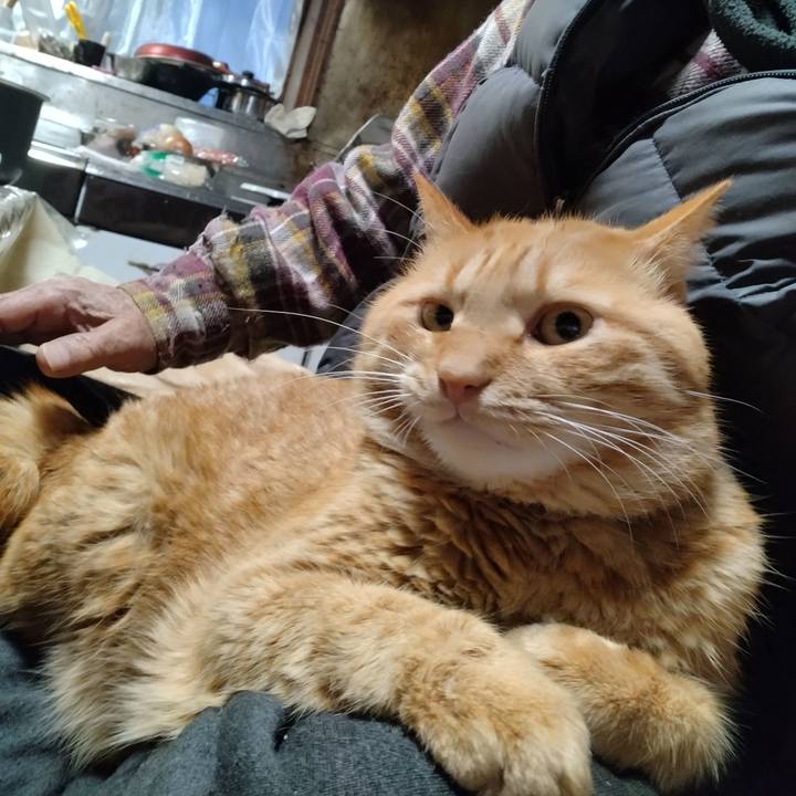 Bda97f1a 43a4 458f a465 6fb989ba5c2e 1704617790527