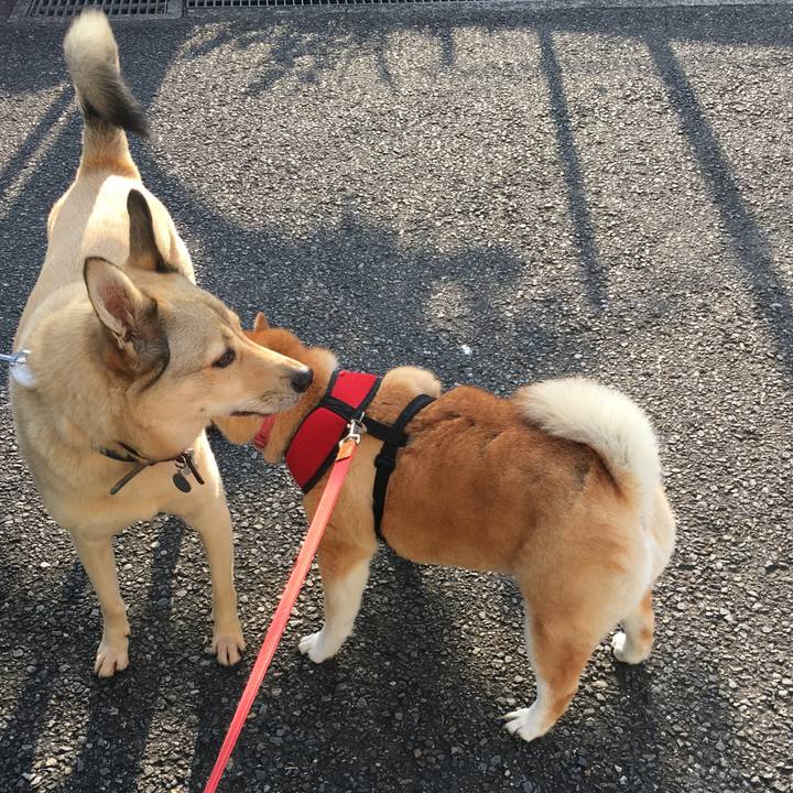 Bda993fb e53d 4629 975a f4971c3b1558 1596497368432