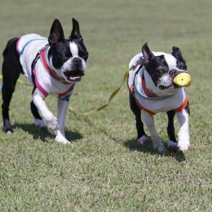 Bda99d04 8396 44e0 a4d8 f0576e799d96 1526044403474