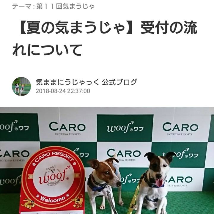 Bda99fd5 1e46 4653 9c20 23ffe8378389 1535153557716