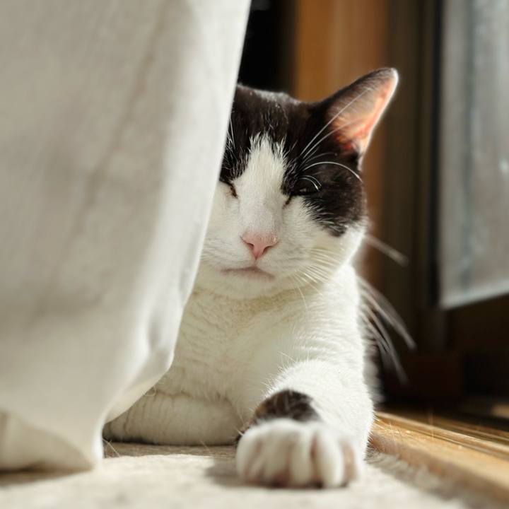 Bda9af39 0d2c 4da2 bb9c 98e30bc626b3 1681436984496