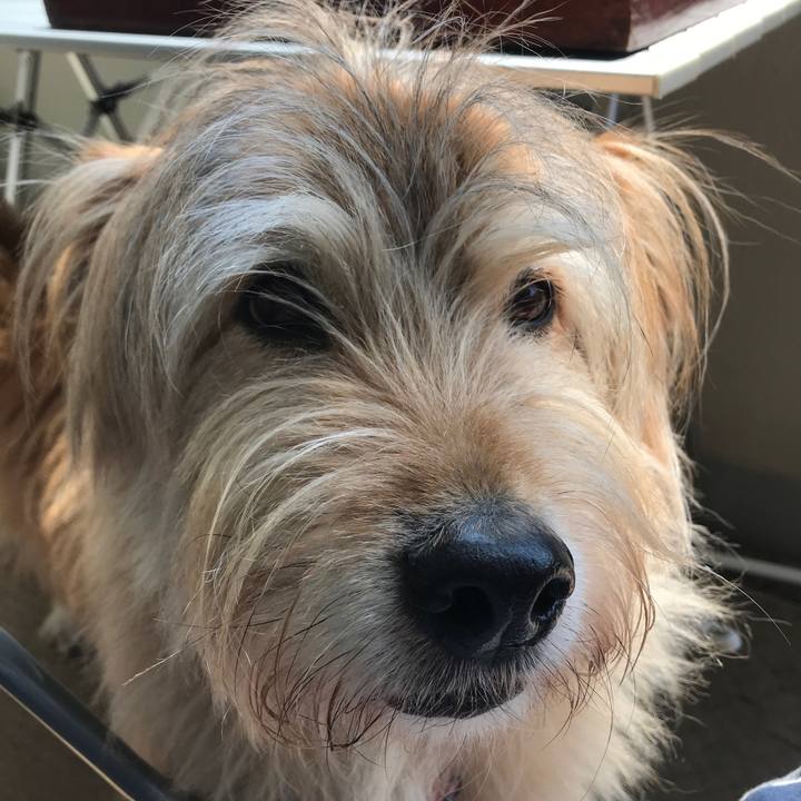 Bda9c915 3724 4f69 a8e6 a454355fb391 1587795471090