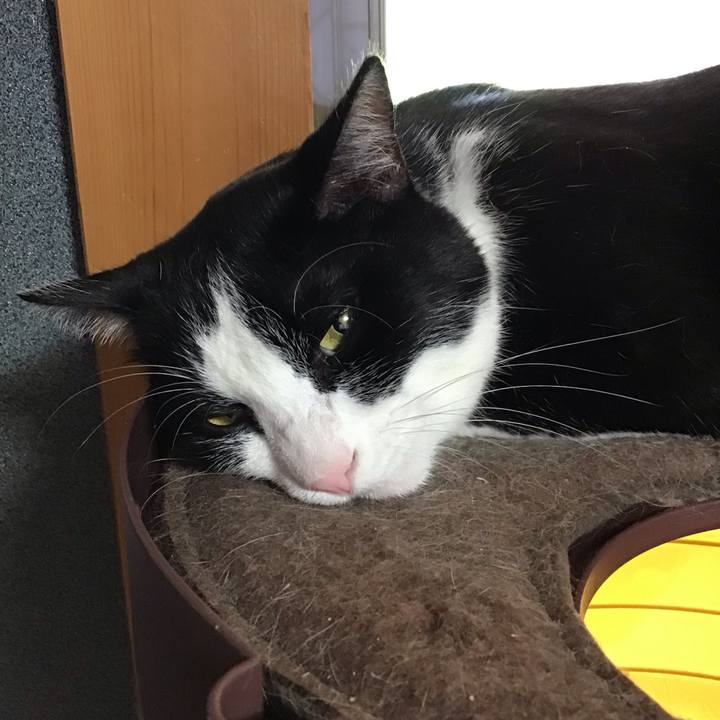 Bdaa6361 39b2 41c6 9b6f d06903f314bd 1722506436489