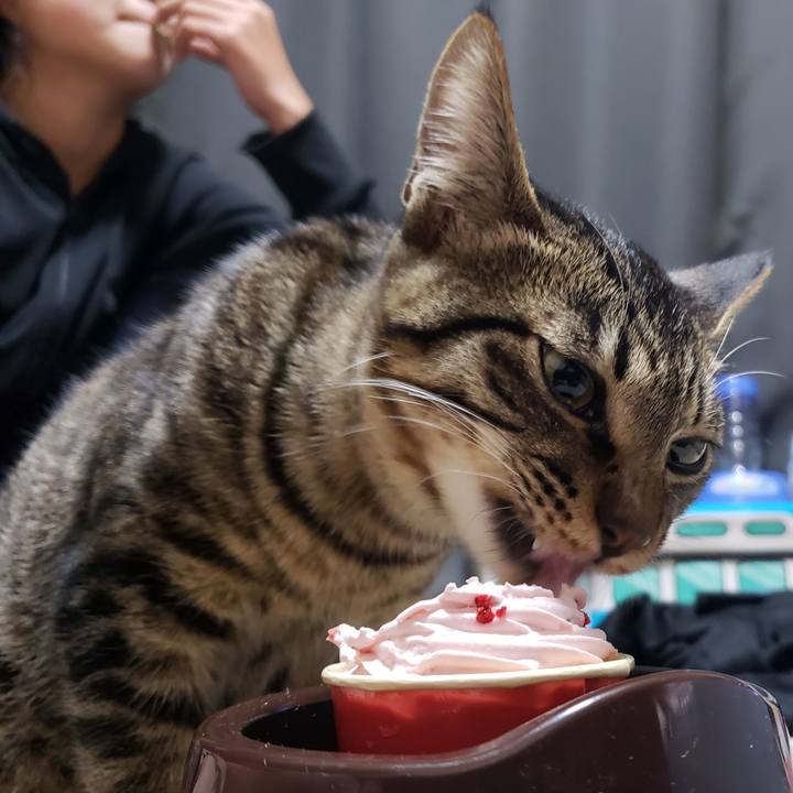 Bdaa88de 3510 4a9e 89ea fa92bbe84357 1549968404922