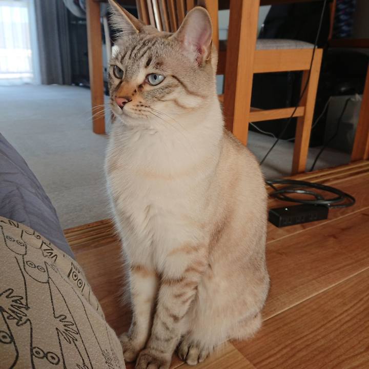 Bdaa8ba3 afcb 451c accd a56ced7f8a3b 1523501352219