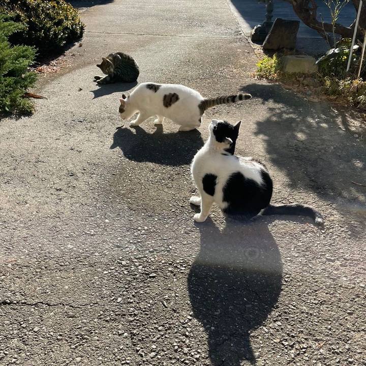 Bdaab0e4 b13a 47f6 b2c8 c28df26bab9a 1638542489875