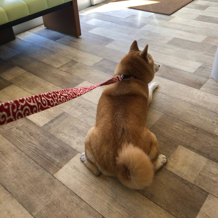 Bdaad2d5 86ae 4801 be15 575a22662949 1606449844855